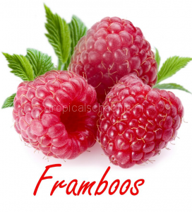 framboos Tropical Schaafijs