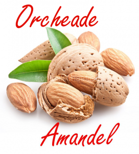 orcheade/amandel Tropical Schaafijs