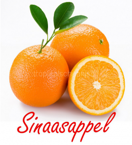 sinaasappel Tropical Schaafijs