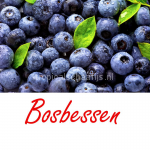 bosbessen