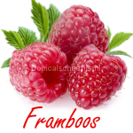 framboos