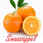 sinaasappel