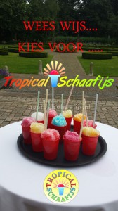 Tropical Schaafijs, Dat is pas Schaafijs..weeswijs