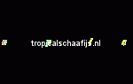 tropical-schaafijs-pulse