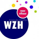 wzh